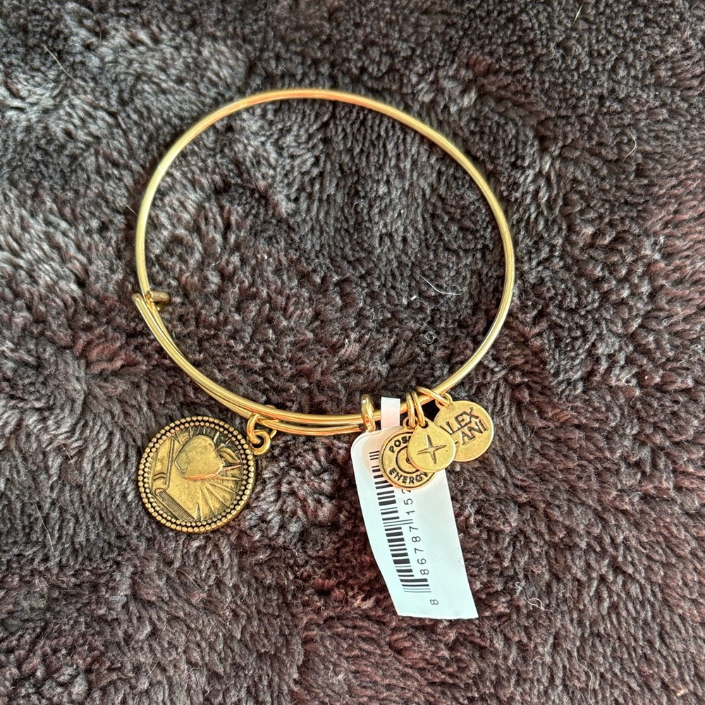 Alex and Ani Teacher bangle bracelet